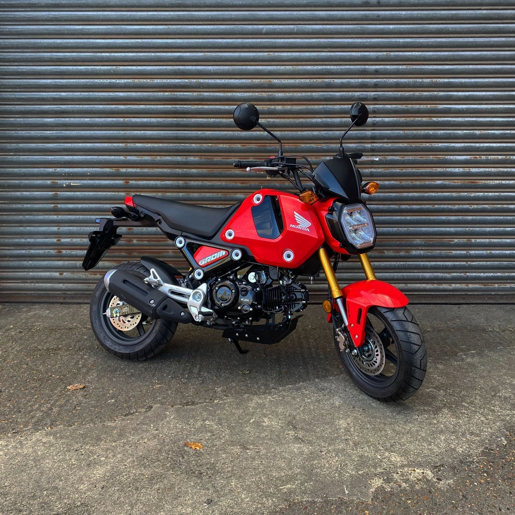 Pyramid Fly Screen | Carbon Look | Honda MSX 125 2021>Current - Image 10